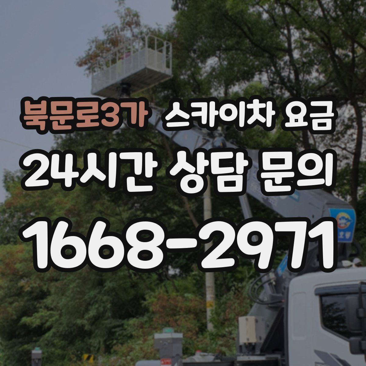 북문로3가 스카이차 요금