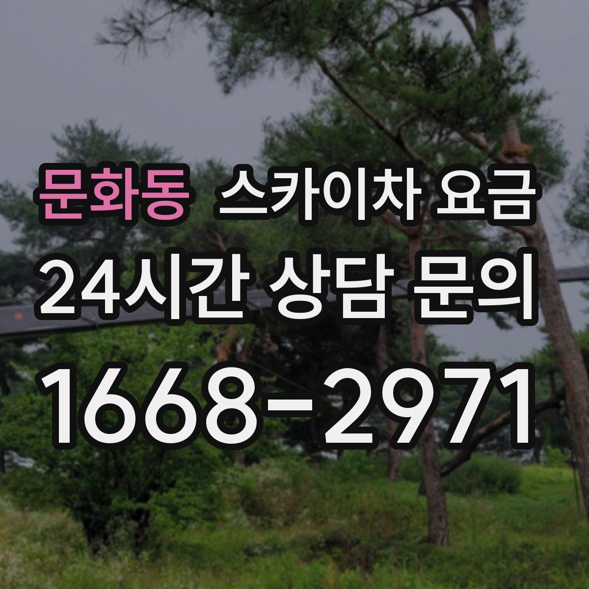 문화동 스카이차 요금