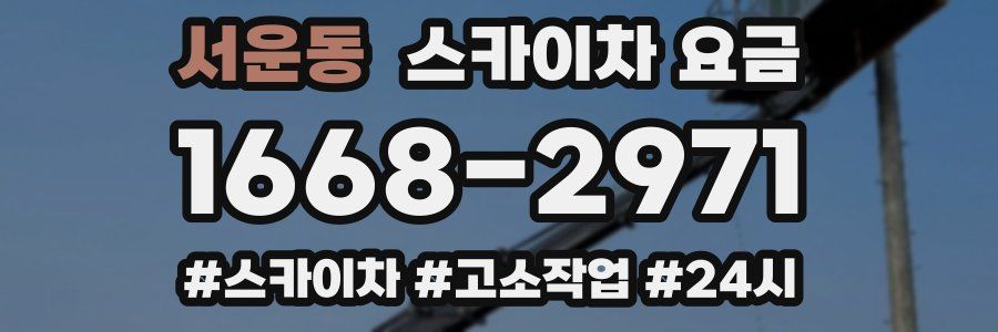 서운동 스카이차 요금
