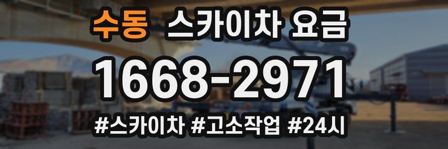 수동 스카이차 요금