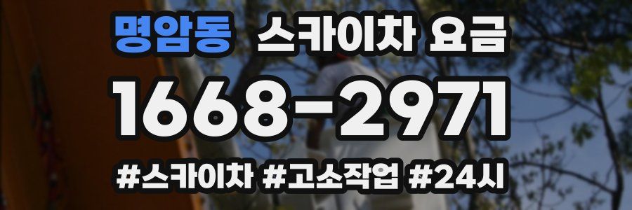 명암동 스카이차 요금