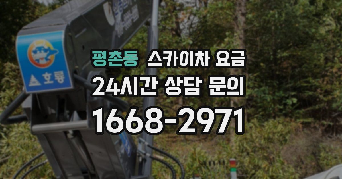 평촌동 스카이차 요금