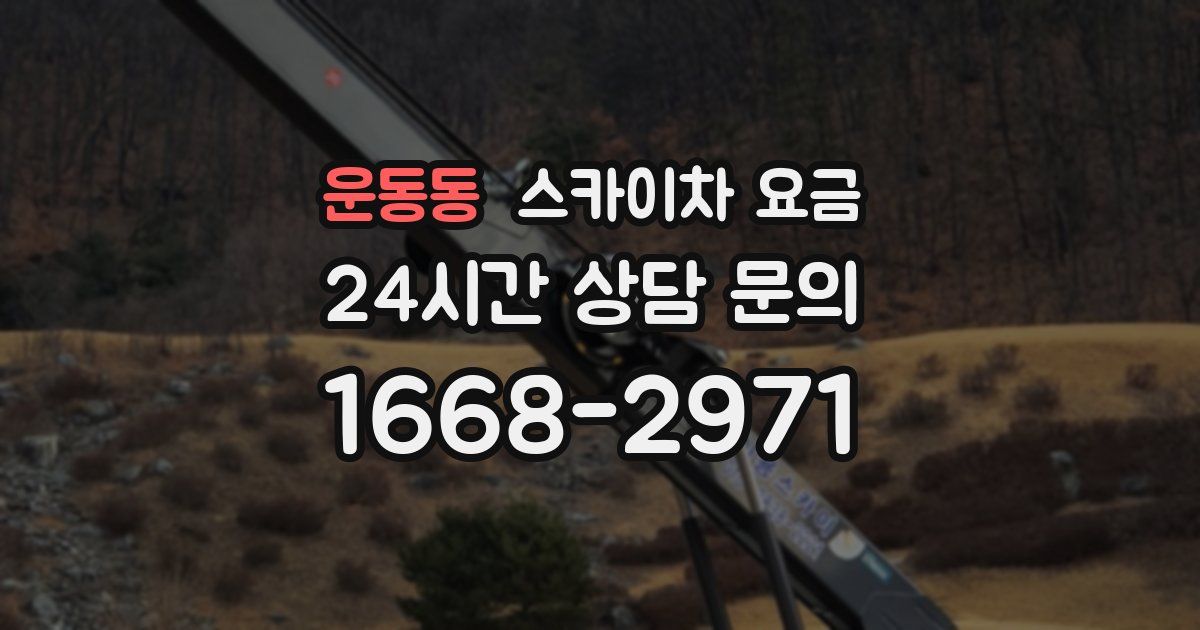 운동동 스카이차 요금