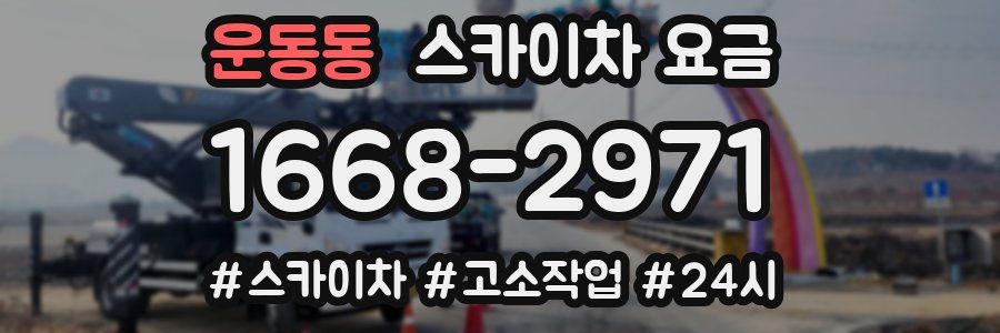 운동동 스카이차 요금