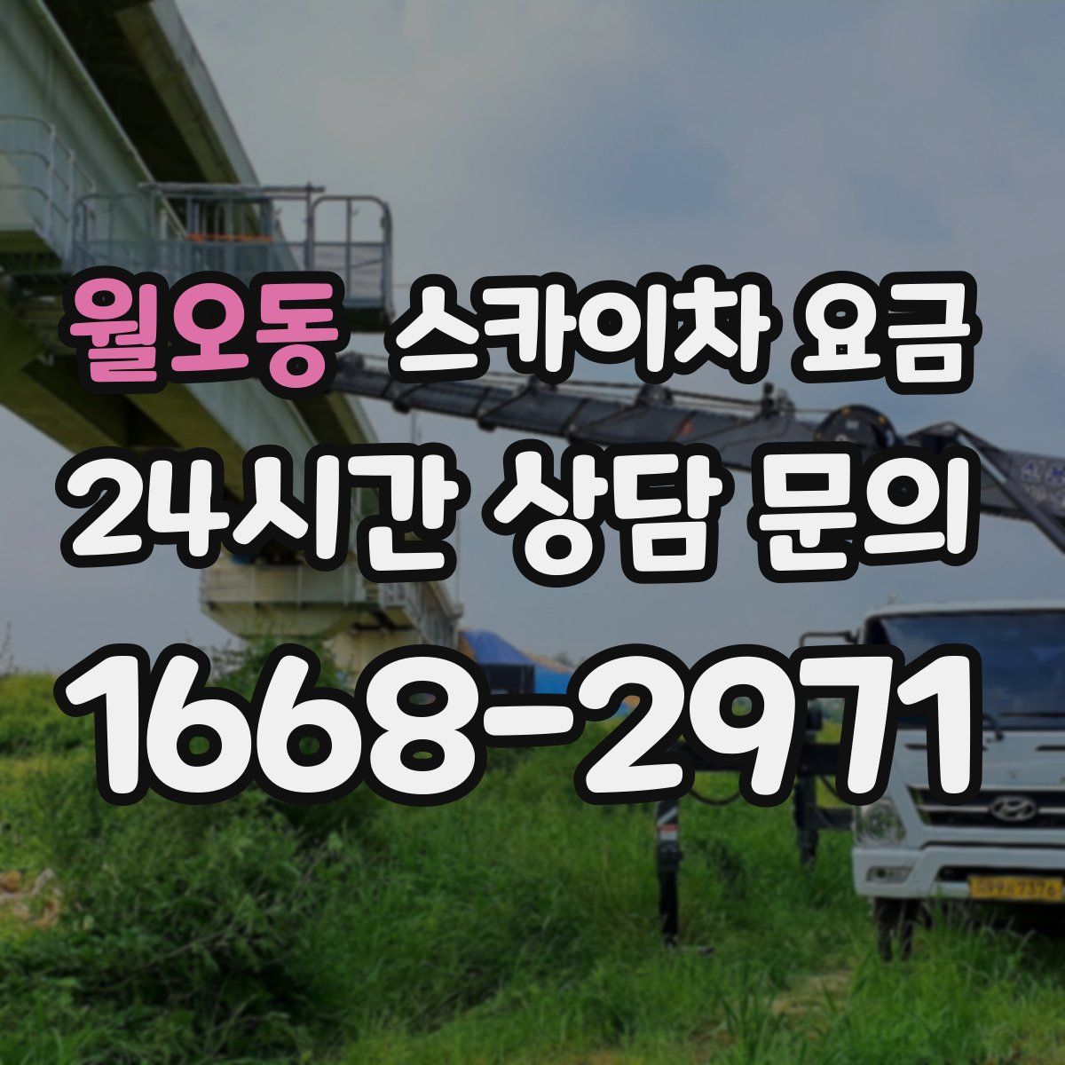 월오동 스카이차 요금