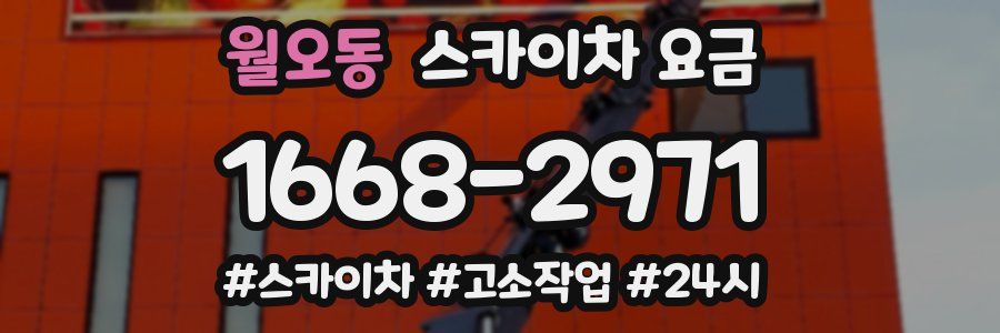 월오동 스카이차 요금