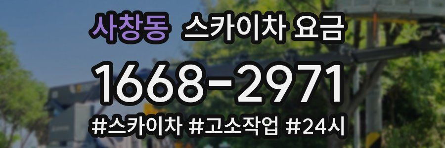 사창동 스카이차 요금