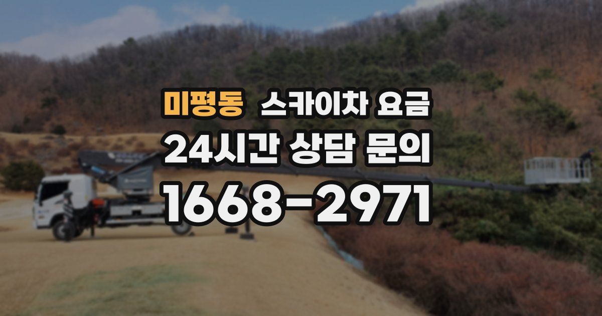 미평동 스카이차 요금