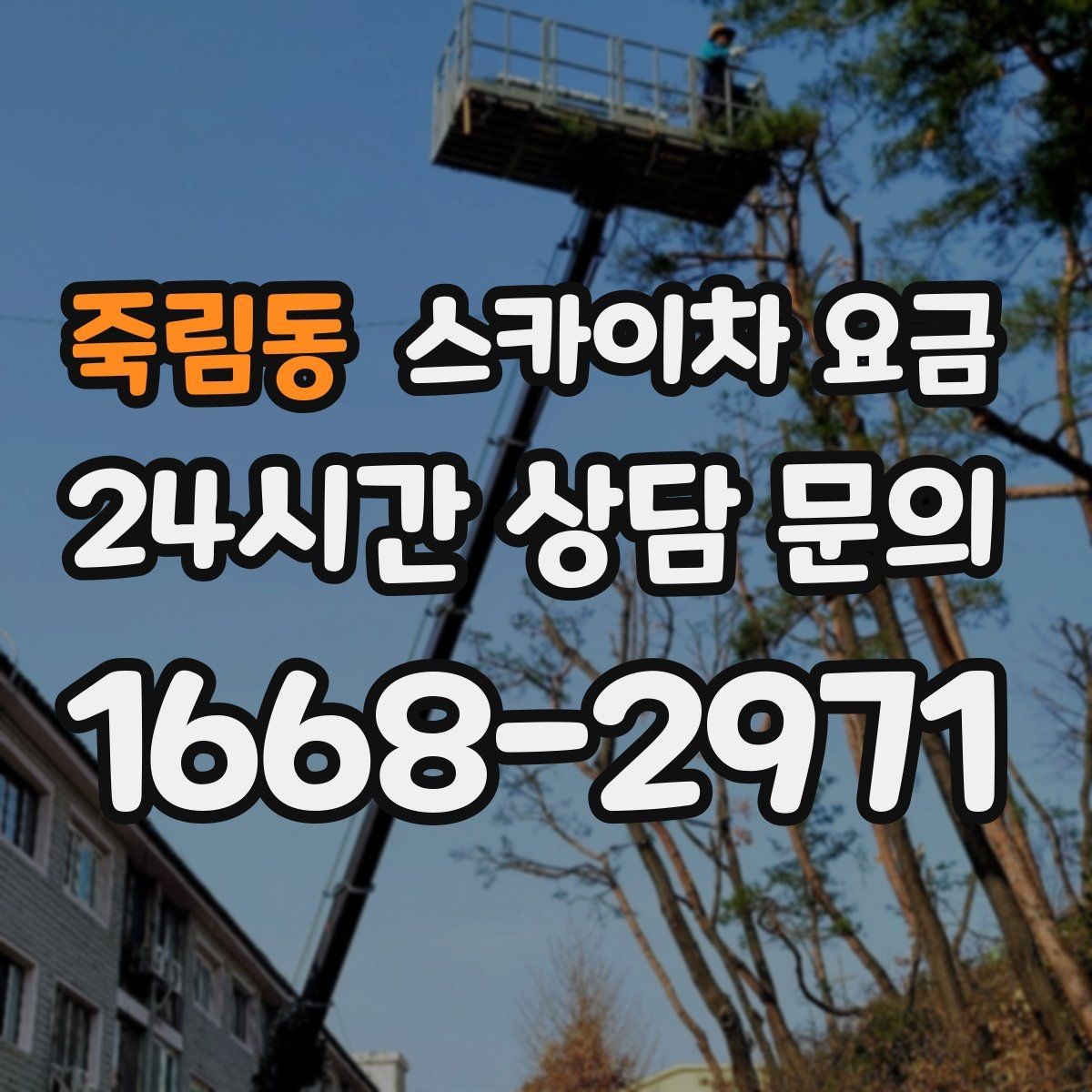 죽림동 스카이차 요금 '너무 싼 견적'이 불안한 이유