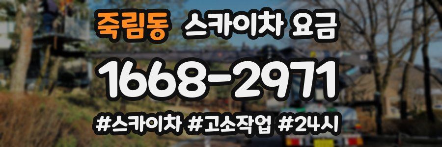 죽림동 스카이차 요금