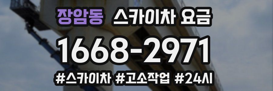 장암동 스카이차 요금
