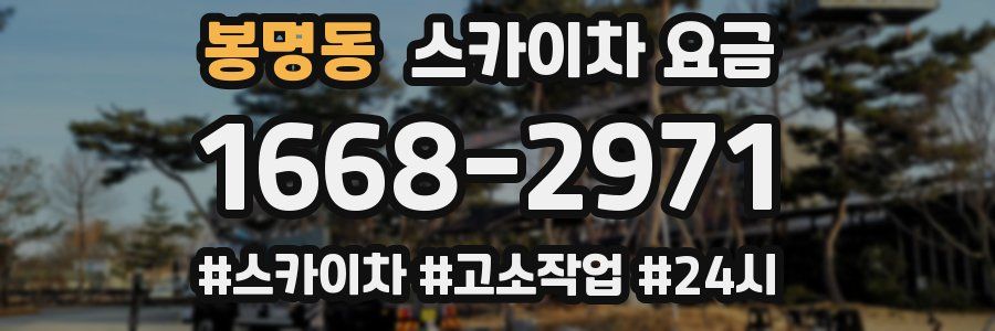 봉명동 스카이차 요금