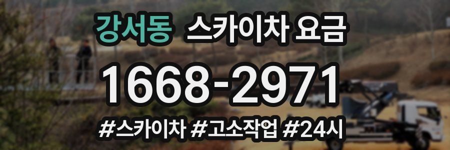 강서동 스카이차 요금