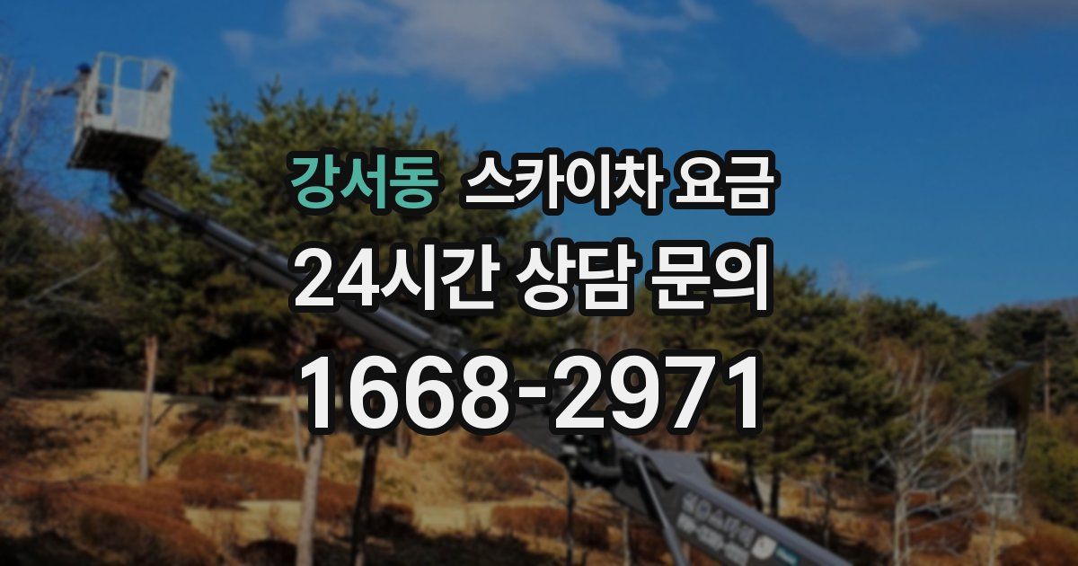 강서동 스카이차 요금