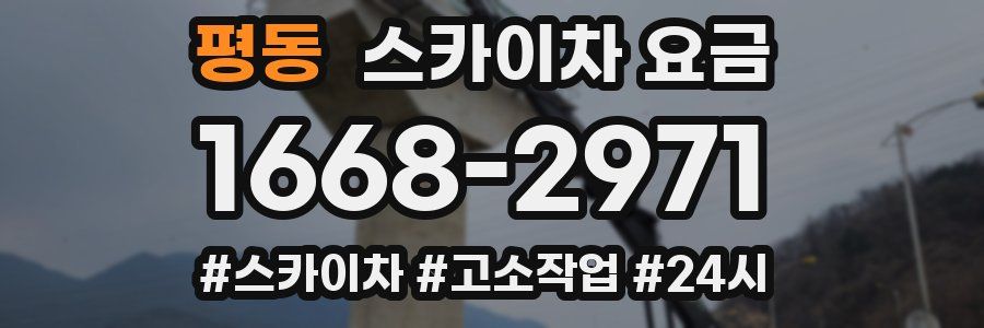 평동 스카이차 요금