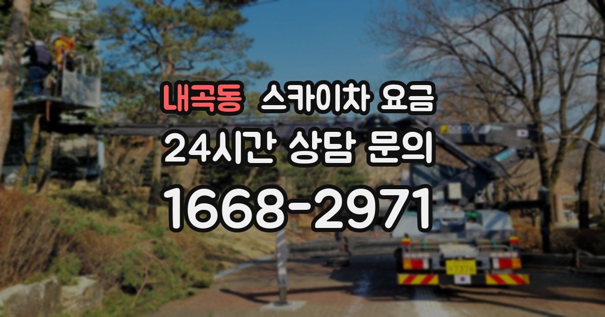 내곡동 스카이차 요금