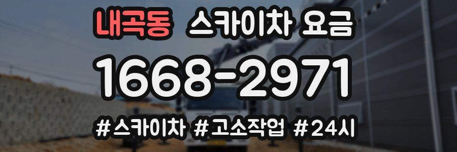 내곡동 스카이차 요금