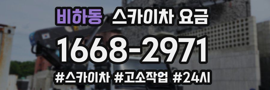 비하동 스카이차 요금