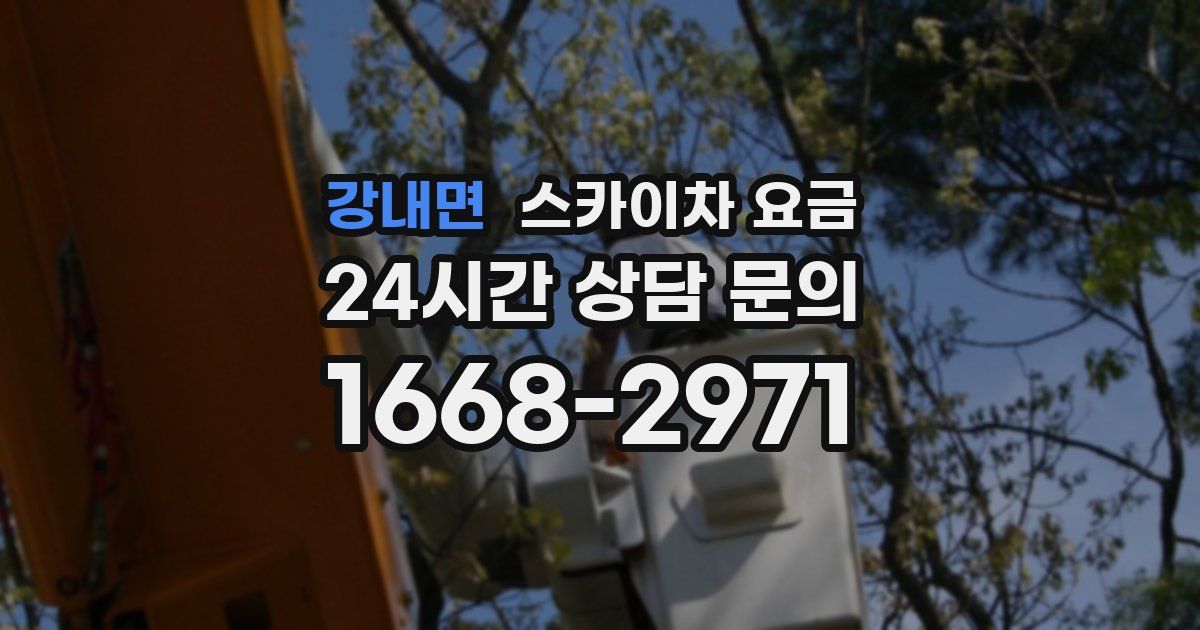 강내면 스카이차 요금