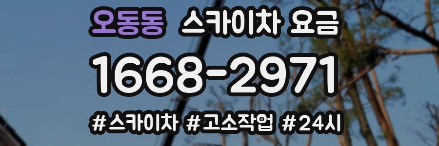 오동동 스카이차 요금