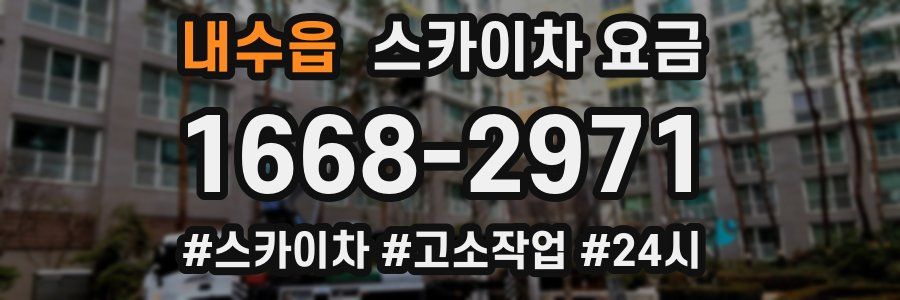 내수읍 스카이차 요금