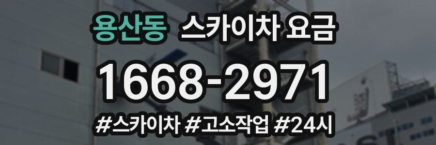 용산동 스카이차 요금