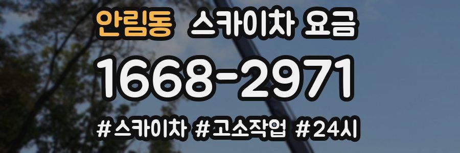 안림동 스카이차 요금