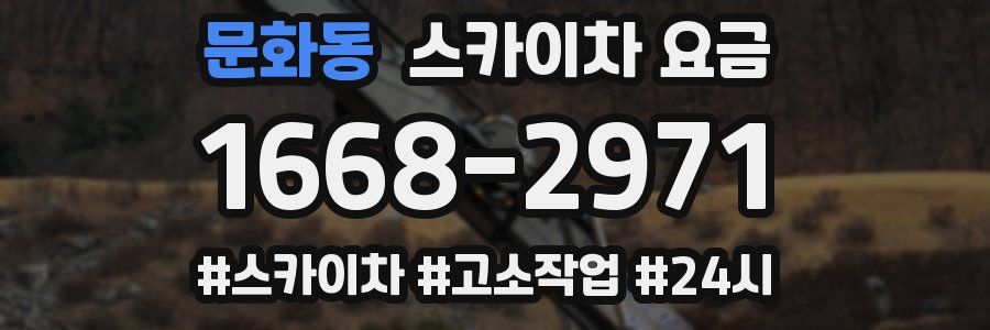 문화동 스카이차 요금