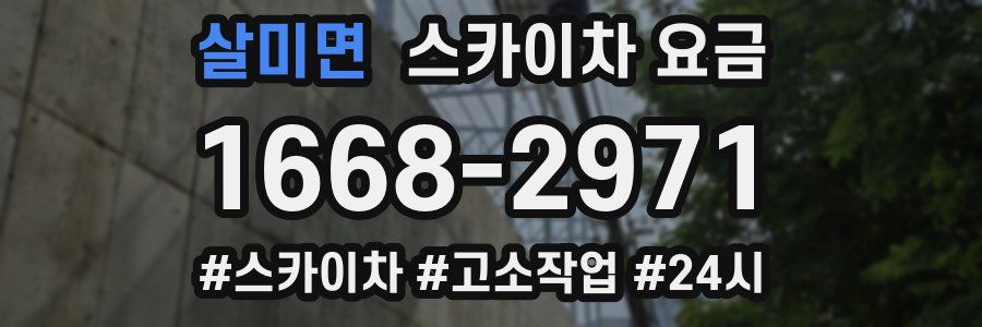 살미면 스카이차 요금