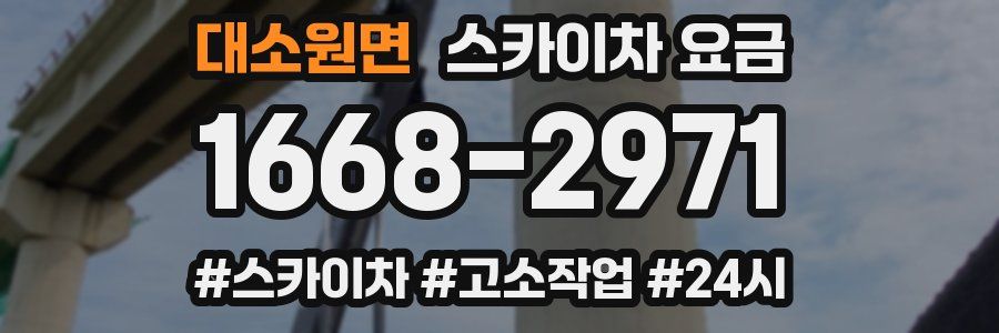 대소원면 스카이차 요금