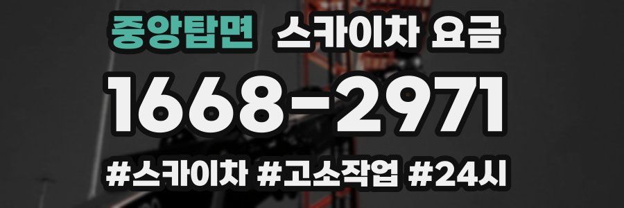 중앙탑면 스카이차 요금