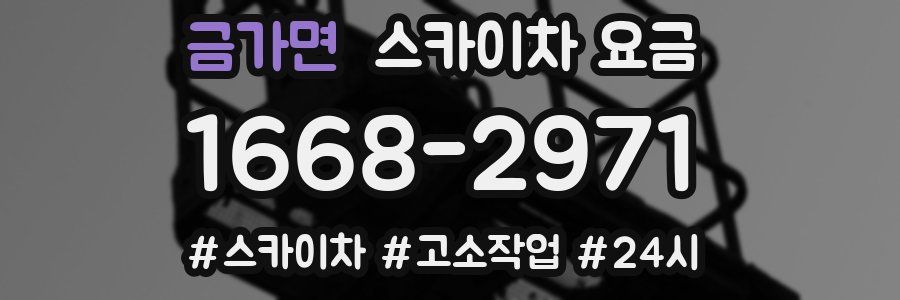 금가면 스카이차 요금