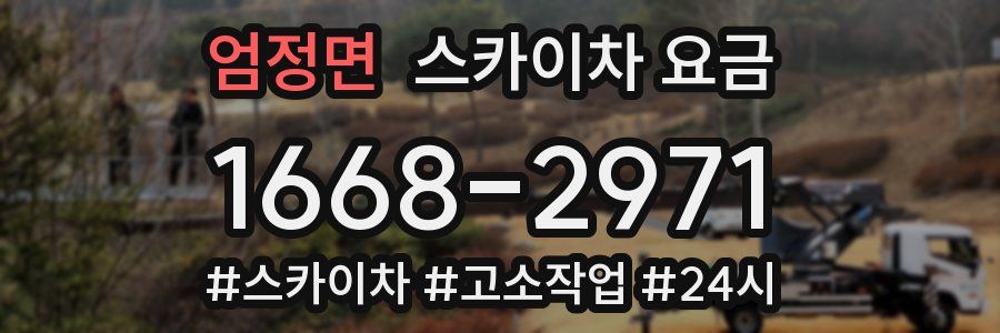 엄정면 스카이차 요금