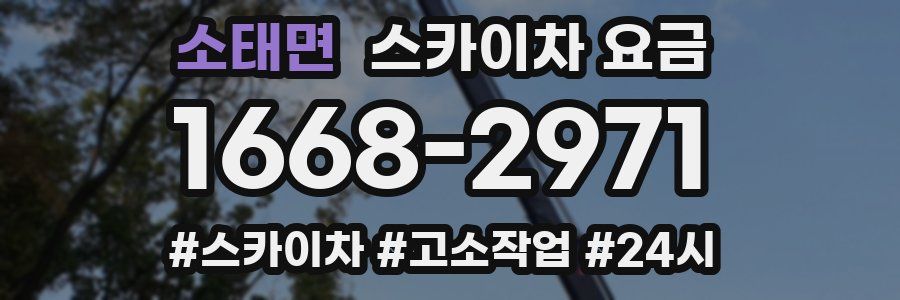 소태면 스카이차 요금