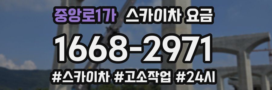 중앙로1가 스카이차 요금