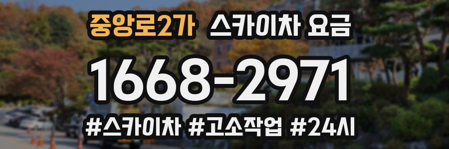 중앙로2가 스카이차 요금