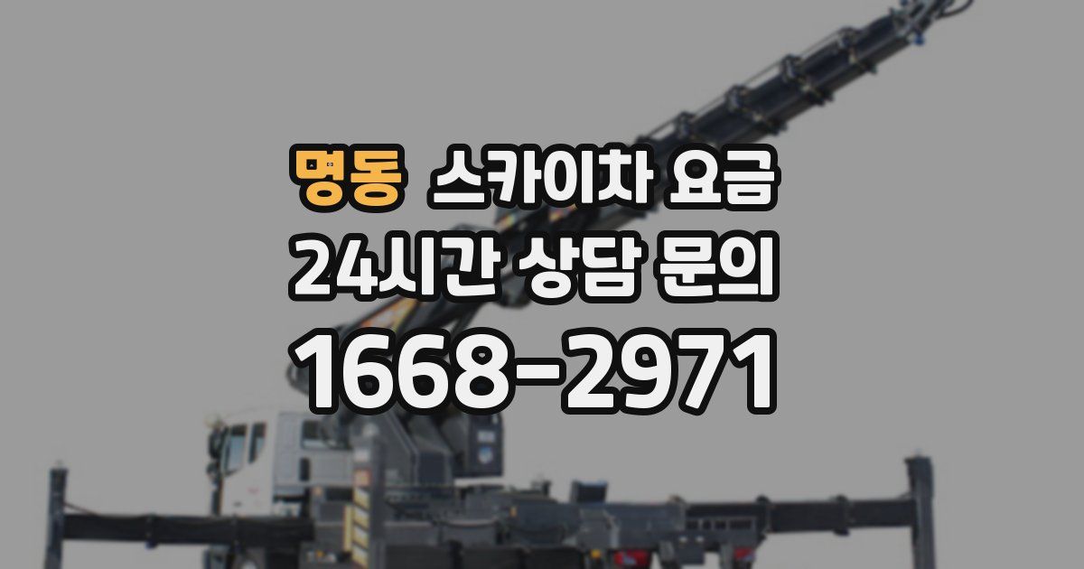 명동 스카이차 요금