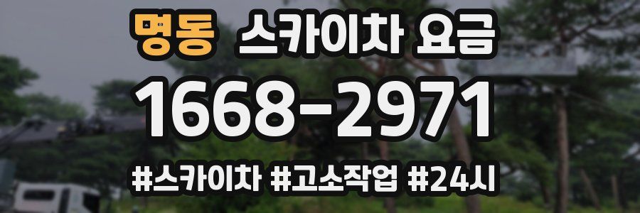 명동 스카이차 요금