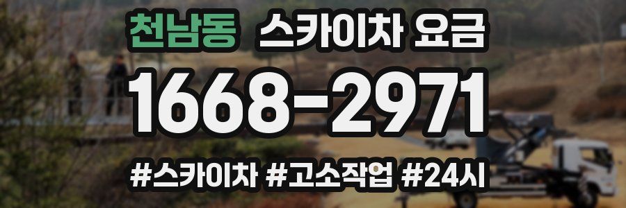 천남동 스카이차 요금