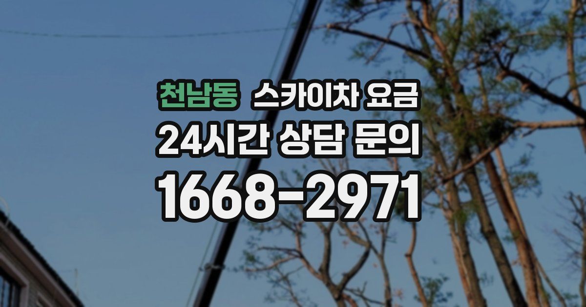 천남동 스카이차 요금