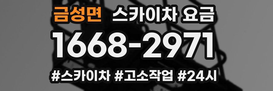 금성면 스카이차 요금