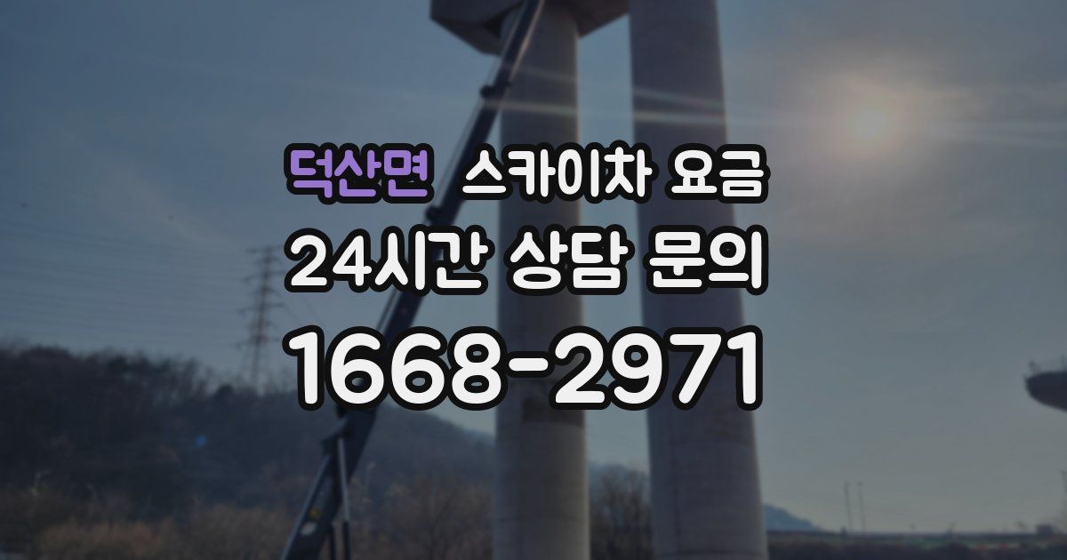 덕산면 스카이차 요금