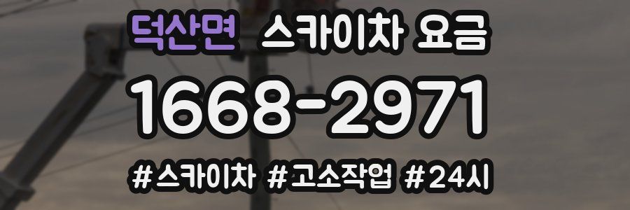 덕산면 스카이차 요금