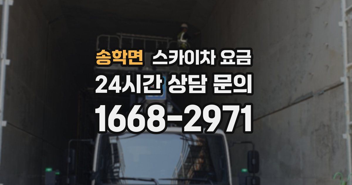 송학면 스카이차 요금