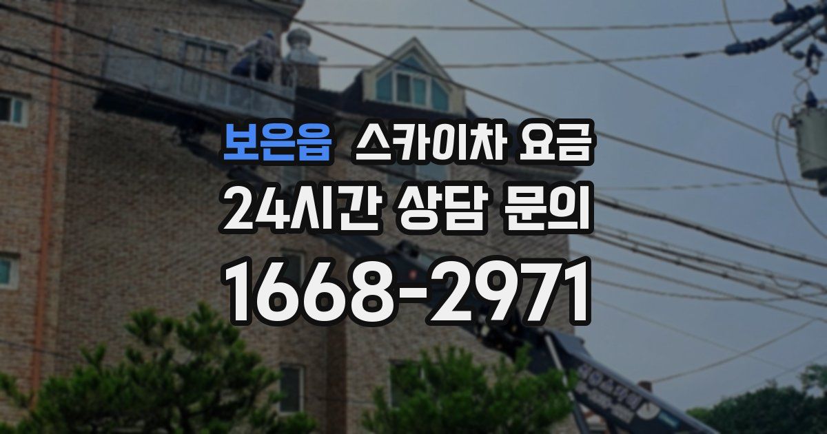 보은읍 스카이차 요금