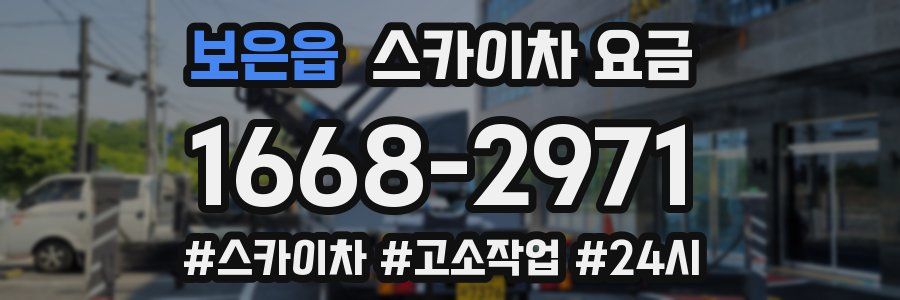 보은읍 스카이차 요금