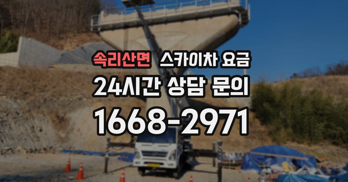 속리산면 스카이차 요금