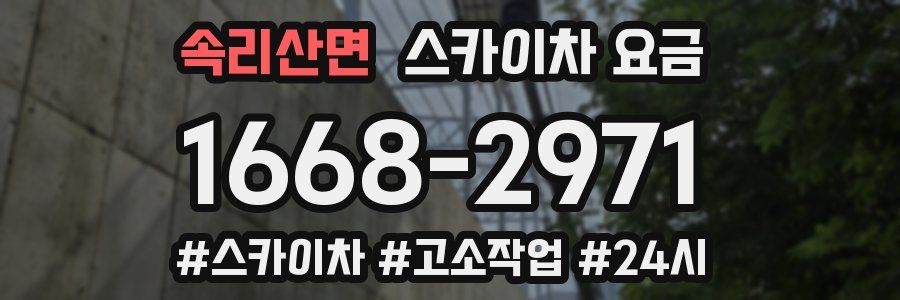 속리산면 스카이차 요금