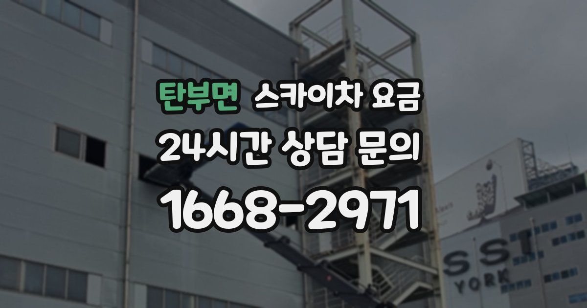 탄부면 스카이차 요금