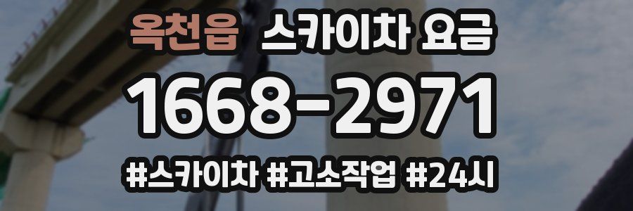 옥천읍 스카이차 요금